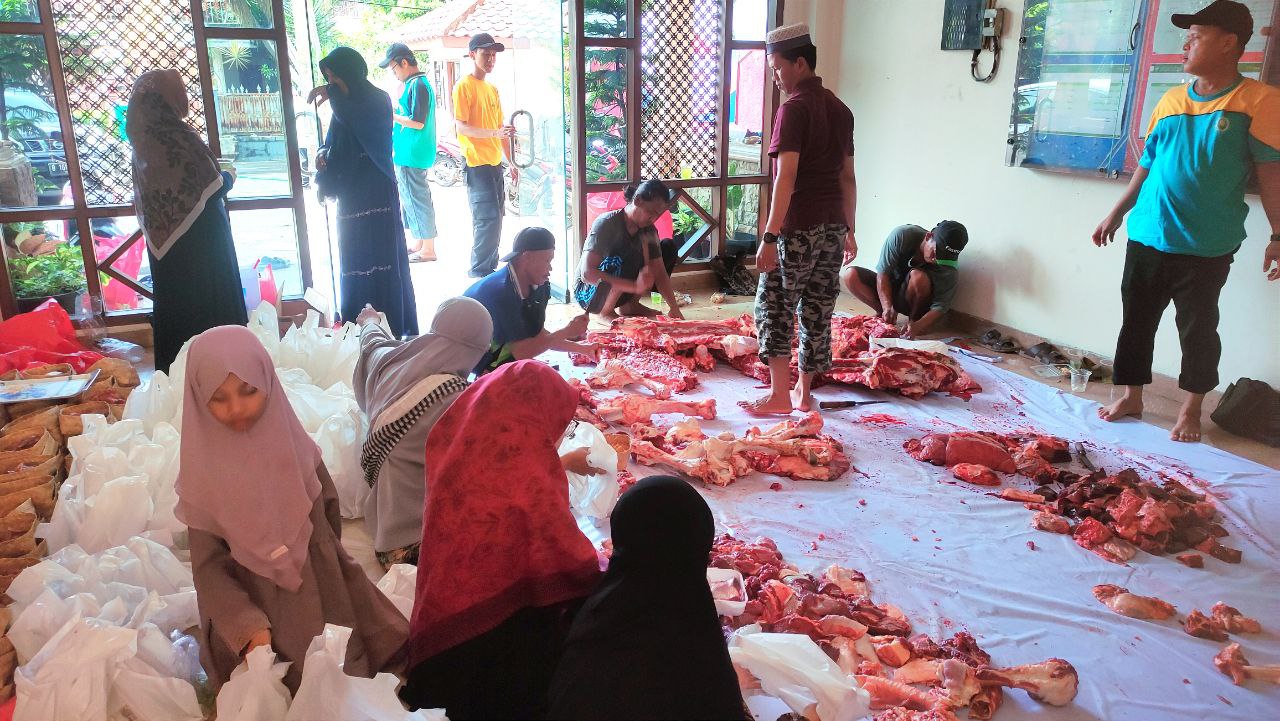 Pencacahan sapi SDIT Al-Furqon