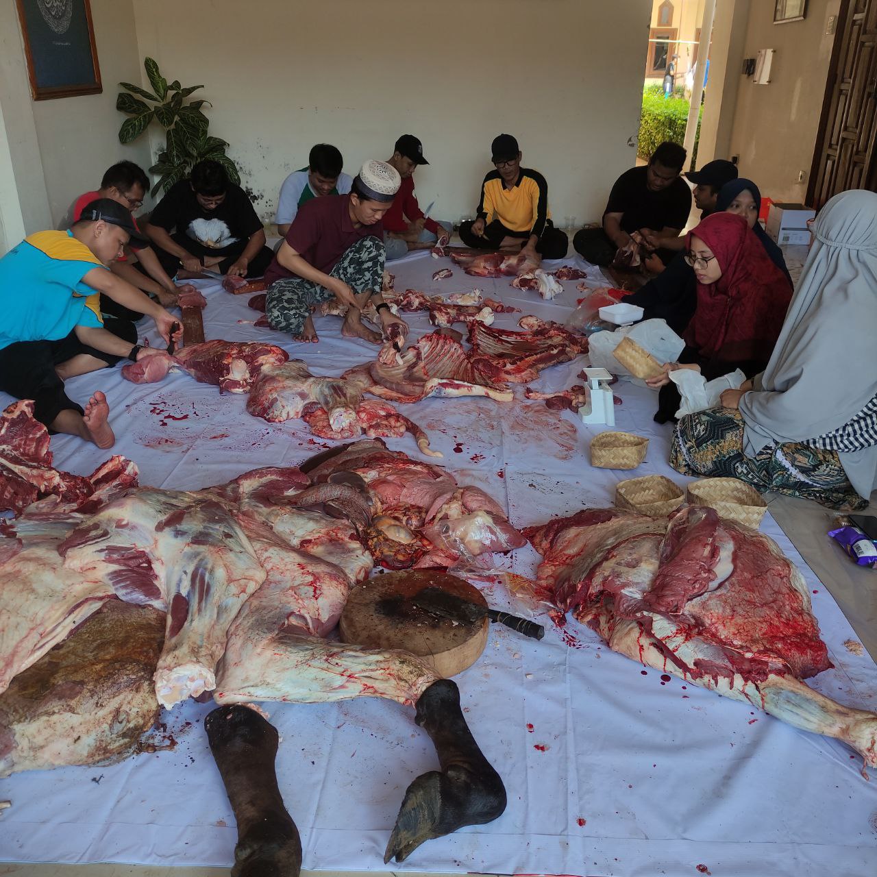 Pencacahan hewan qurban SDIT Al-Furqon