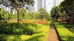 Lingkungan Bersih_Cattleya Park