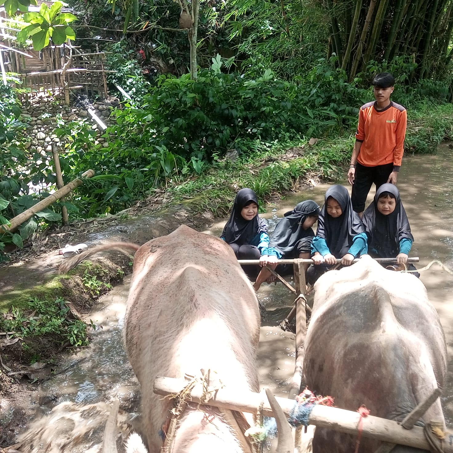 kelas rendah_membajak sawah_sdit al-furqon