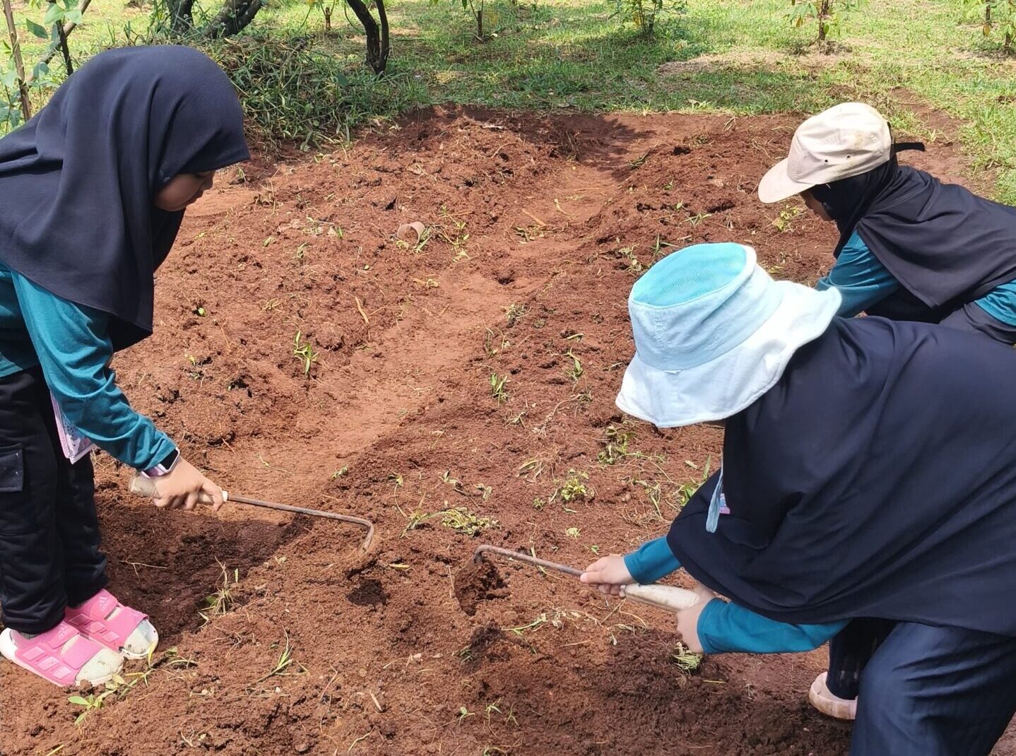 Menanam Sayuran_Study Tour SDIT Al-Furqon 2025
